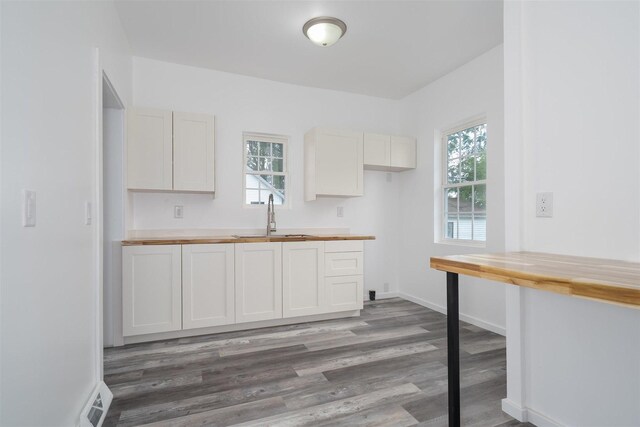 303 S Main St, Flanagan, IL 61740 - kitchen featuring a sink, butcher block countertops, wood finished floors, and plenty of natural light