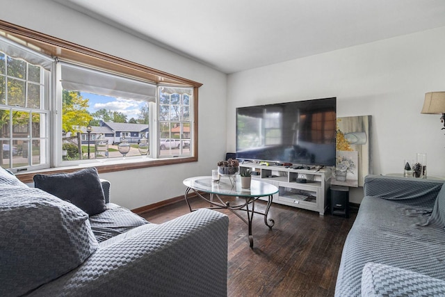 living room featuring wood finished floors, healthy amount of natural light, and baseboards