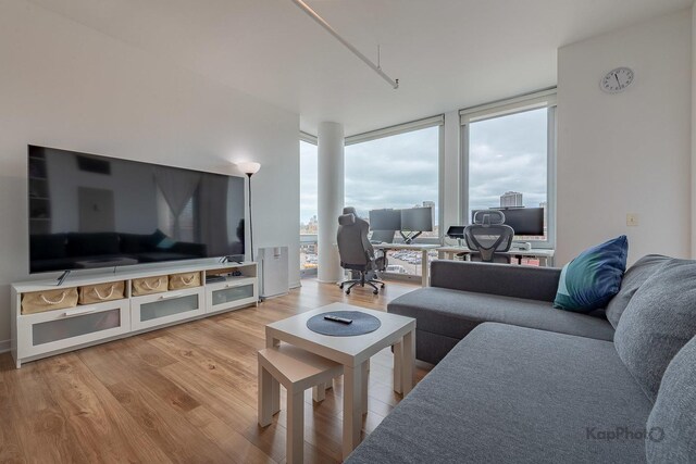 437 W Division St Unit 505, Chicago, IL 60610 - living room featuring light wood-type flooring and expansive windows