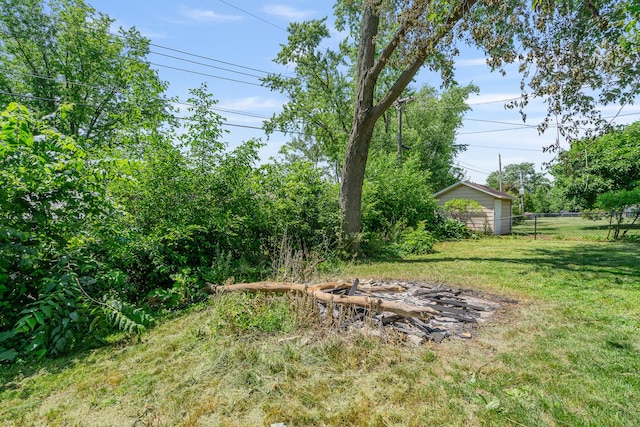 22614 S Joseph Ave, Channahon, IL 60410 - view of yard