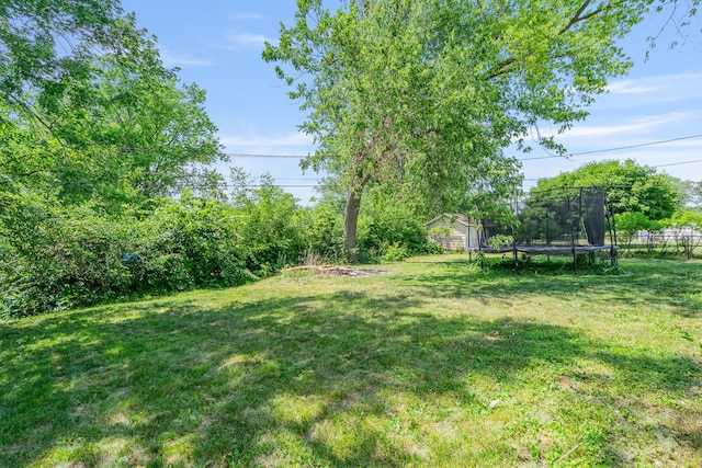 22614 S Joseph Ave, Channahon, IL 60410 - view of yard with a trampoline
