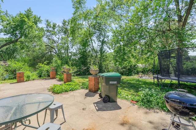 22614 S Joseph Ave, Channahon, IL 60410 - view of patio / terrace featuring a trampoline