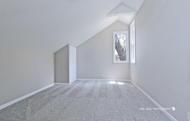 1401 N Park Dr, Round Lake Beach, IL 60073 - bonus room with lofted ceiling, carpet, and baseboards