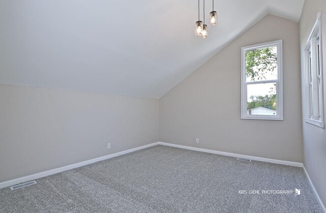 1401 N Park Dr, Round Lake Beach, IL 60073 - additional living space with lofted ceiling, carpet flooring, and baseboards