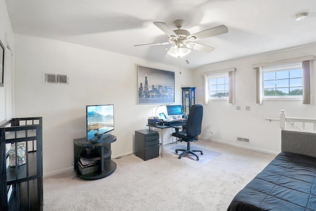 8421 Canary Grass Ln Unit 8421, Fox Lake, IL 60020 - office area with carpet, ceiling fan, and baseboards