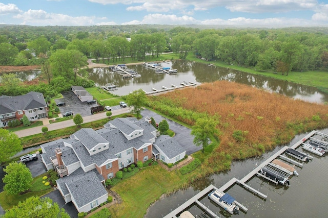 8421 Canary Grass Ln Unit 8421, Fox Lake, IL 60020 - bird's eye view of a large body of water and a heavily wooded area