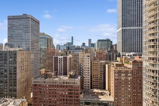 221 E Walton Pl Unit 10B, Chicago, IL 60611 - view of city