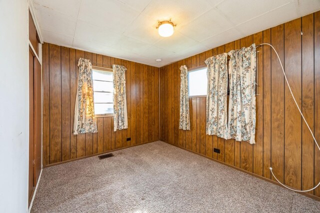 6131 S Brainard Ave, Countryside, IL 60525 - carpeted empty room featuring wood walls