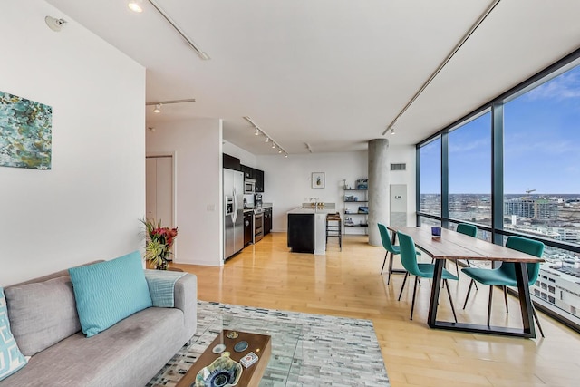 living area with track lighting, light wood-style flooring, and expansive windows