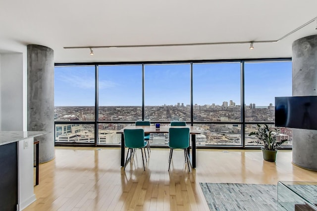 dining space with rail lighting, floor to ceiling windows, and wood-type flooring