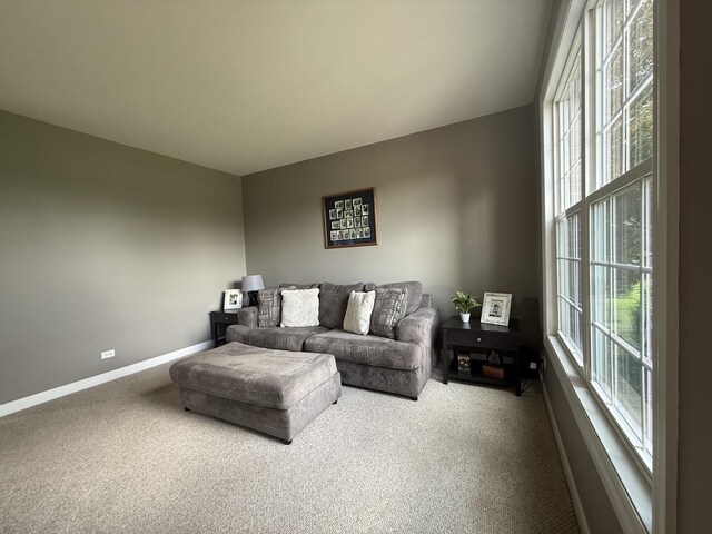 43W465 Otter Ln, Saint Charles, IL 60175 - carpeted living room featuring baseboards