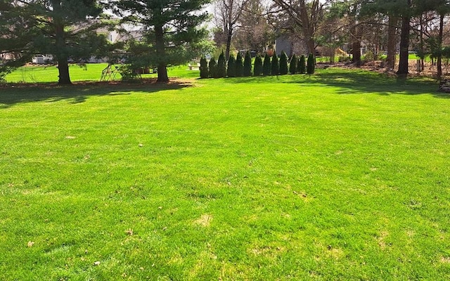 view of grassy yard