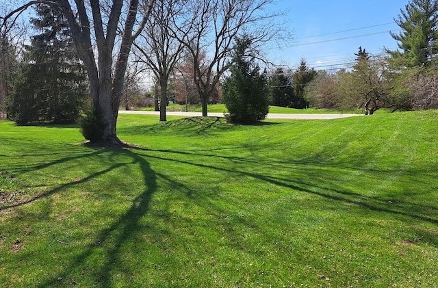135 Thornhill Farm Ln, Saint Charles, IL 60175 - photo 41