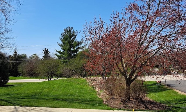 135 Thornhill Farm Ln, Saint Charles, IL 60175 - photo 42