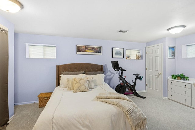 225 N Knight Ave, Park Ridge, IL 60068 - carpeted bedroom featuring baseboards and multiple windows