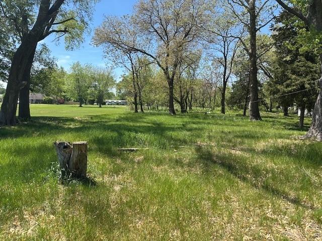 106 Round House St, Braidwood, IL 60408 - photo 20