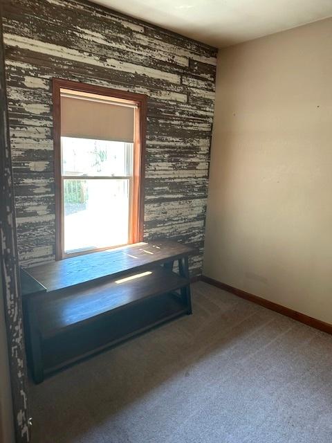 106 Round House St, Braidwood, IL 60408 - photo 10