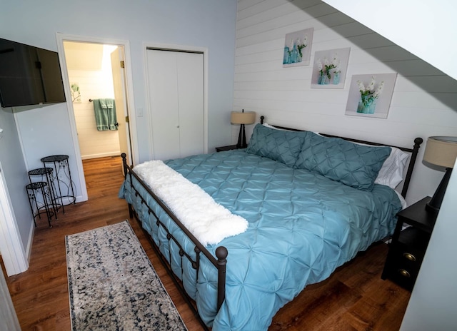 139 Walnut Hill Dr, Galena, IL 61036 - bedroom with dark wood-style floors and a closet