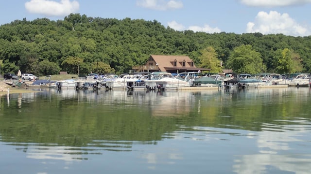 139 Walnut Hill Dr, Galena, IL 61036 - water view with a forest and a dock