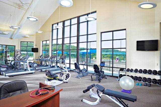 139 Walnut Hill Dr, Galena, IL 61036 - exercise room featuring high vaulted ceiling and carpet flooring