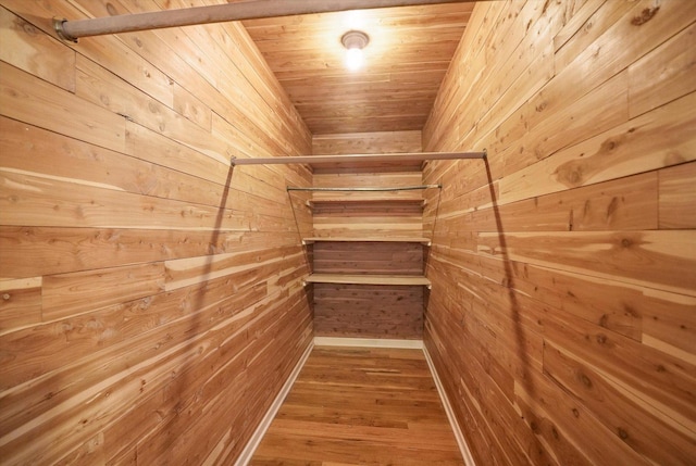 255 Irving Blvd, Chicago Heights, IL 60411 - walk in closet with wood finished floors
