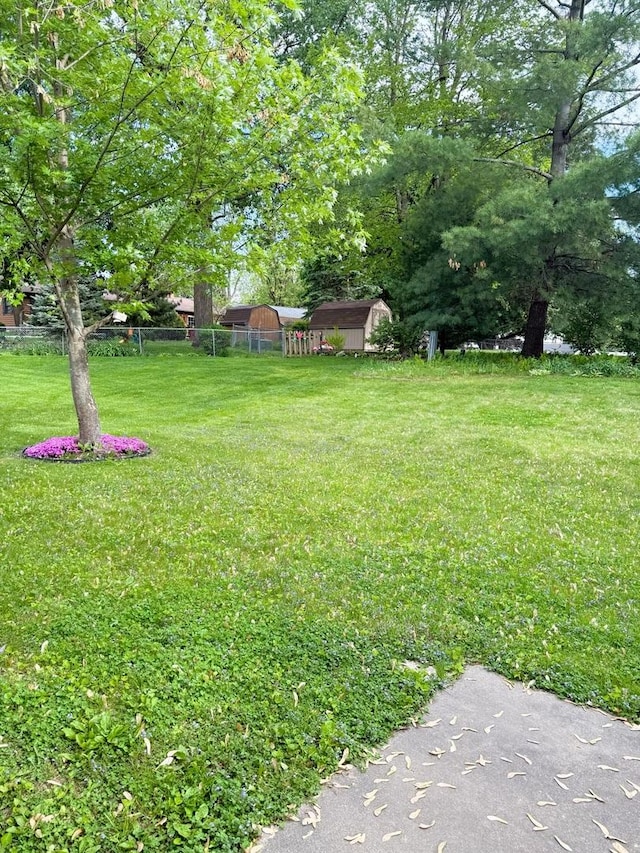 1004 N Hill Dr, Dixon, IL 61021 - view of yard