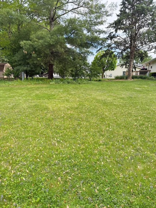 1004 N Hill Dr, Dixon, IL 61021 - view of yard