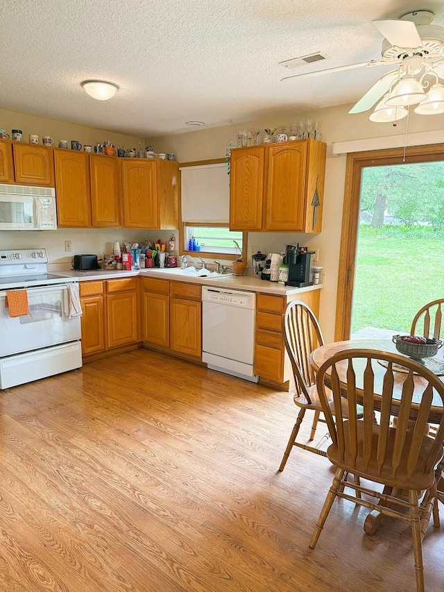 1004 N Hill Dr, Dixon, IL 61021 - kitchen with white appliances, light wood-style flooring, light countertops, a textured ceiling, and plenty of natural light
