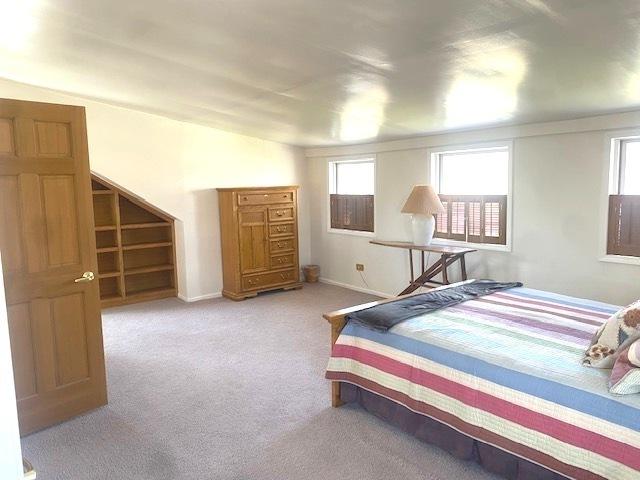 41551 N Lotus Ave, Antioch, IL 60002 - bedroom with multiple windows, carpet flooring, and baseboards