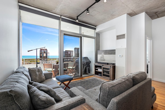 living area with wood finished floors, healthy amount of natural light, rail lighting, and a wall of windows
