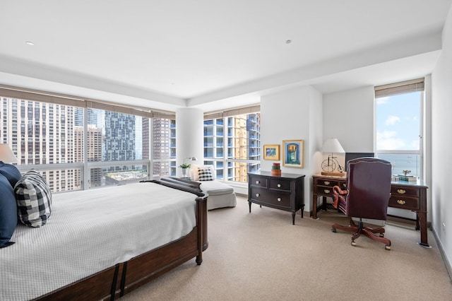 445 E N Water St Unit 2105, Chicago, IL 60610 - view of carpeted bedroom