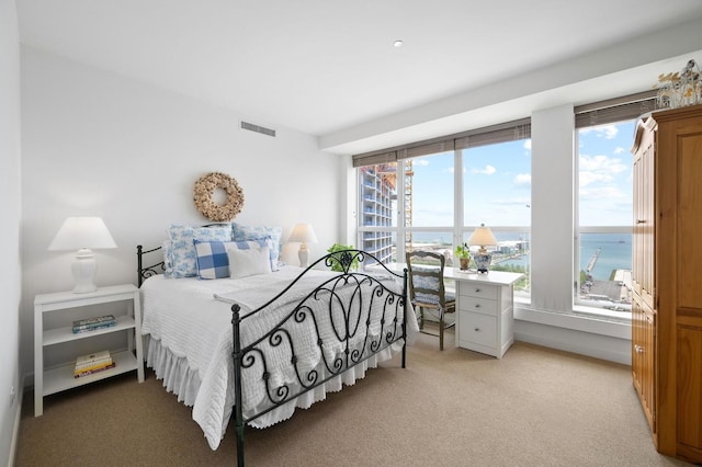 445 E N Water St Unit 2105, Chicago, IL 60610 - bedroom with light carpet and a water view