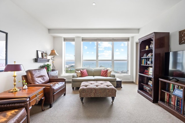445 E N Water St Unit 2105, Chicago, IL 60610 - view of carpeted living area