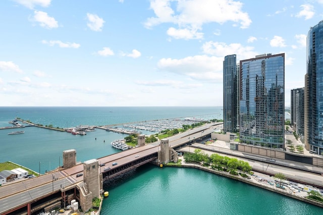445 E N Water St Unit 2105, Chicago, IL 60610 - view of urban area with a large body of water and a notable bridge