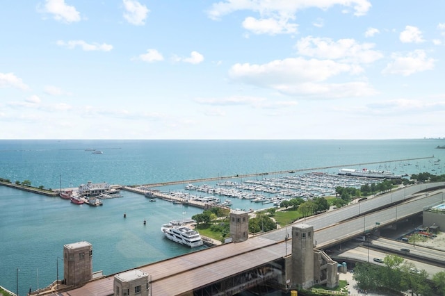 445 E N Water St Unit 2105, Chicago, IL 60610 - water view with numerous boat docks