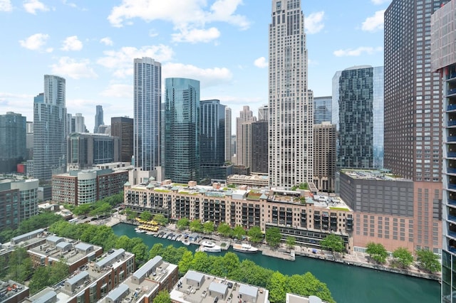 445 E N Water St Unit 2105, Chicago, IL 60610 - skyline view with a nearby body of water