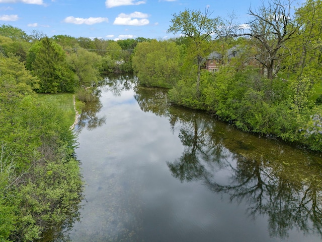 1161 Gavin Ct, Lake Forest, IL 60045 - water view with a heavily wooded area