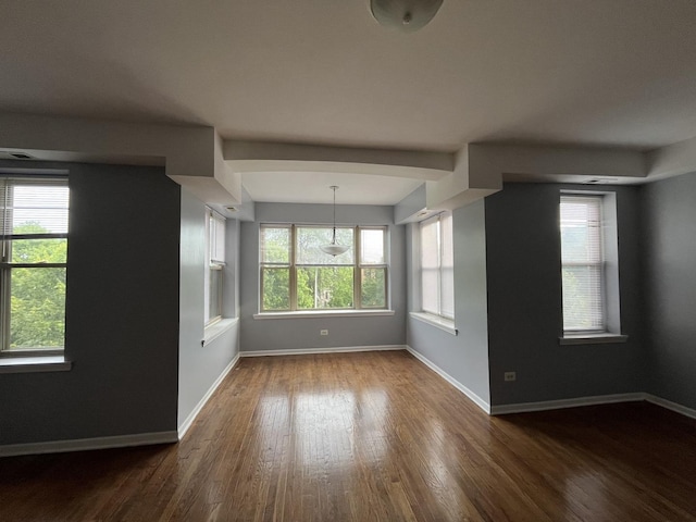 3118 W Douglas Blvd, Chicago, IL 60623 - spare room featuring dark wood-style floors, plenty of natural light, and baseboards