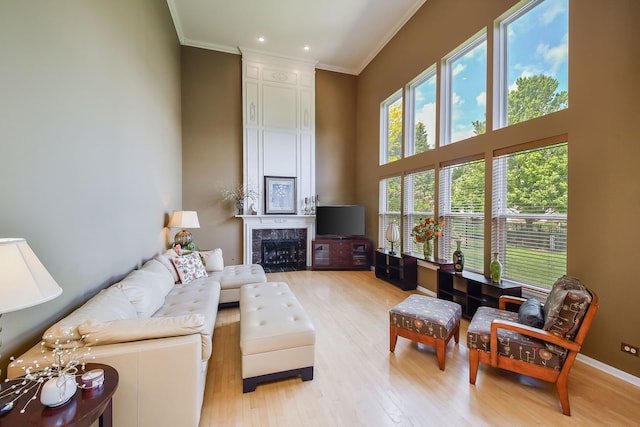 24706 Apollo Dr, Plainfield, IL 60585 - living area with crown molding, light wood-style flooring, a towering ceiling, a high end fireplace, and recessed lighting