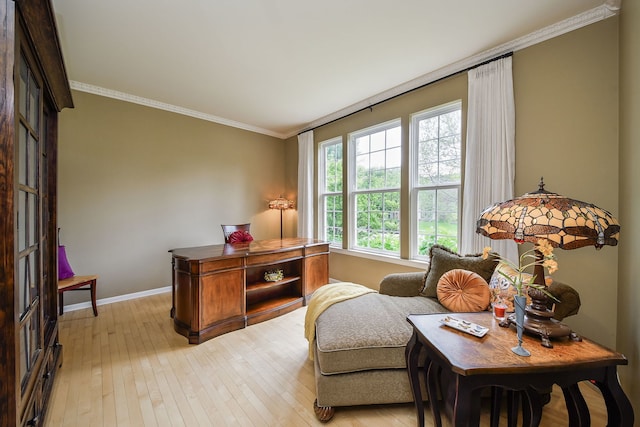 24706 Apollo Dr, Plainfield, IL 60585 - office featuring light wood-style floors, baseboards, and ornamental molding