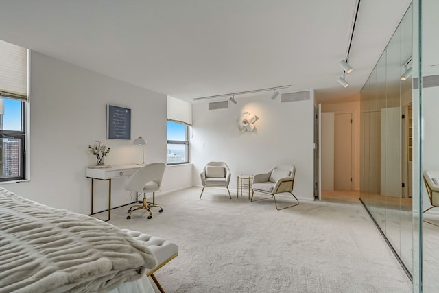 1040 N Lake Shore Dr Unit 30B, Chicago, IL 60611 - photo 23