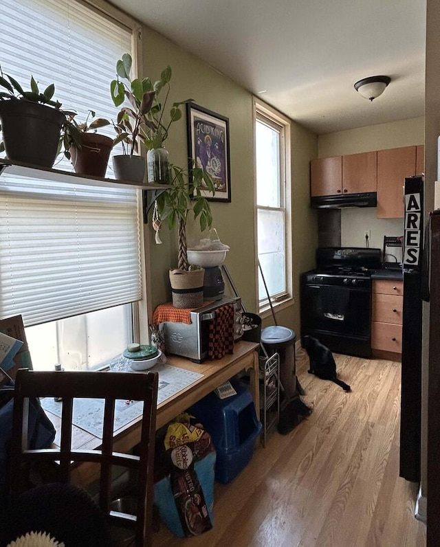 dining room with light wood-style floors