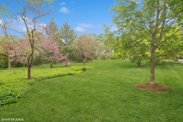236 Steeplechase Rd, Barrington Hills, IL 60010 - view of green lawn