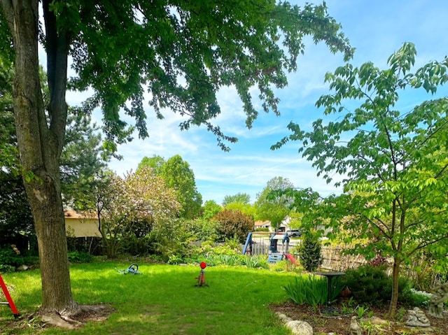 620 Teton Cir, Carol Stream, IL 60188 - view of green lawn