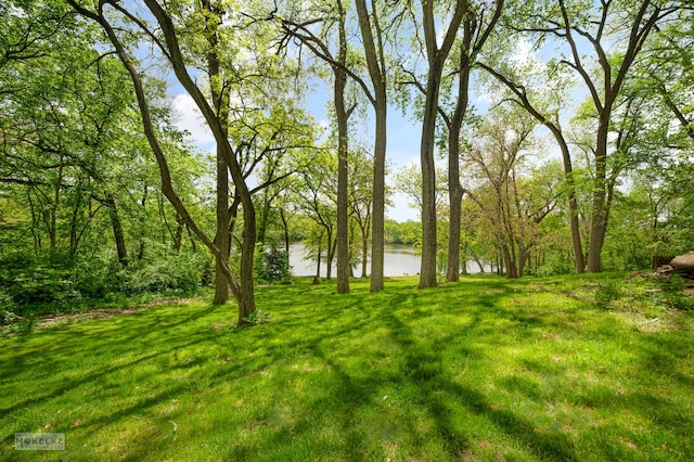 7500 US Highway 34, Oswego, IL 60543 - view of grassy yard featuring a water view