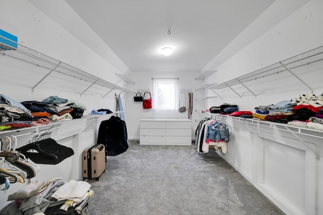 39W027 Dean St, Saint Charles, IL 60175 - spacious closet featuring carpet