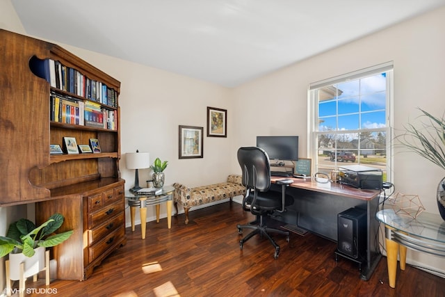 office featuring dark wood-style flooring