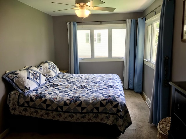 116 N Beech St, Princeton, IL 61356 - carpeted bedroom with a ceiling fan and baseboards
