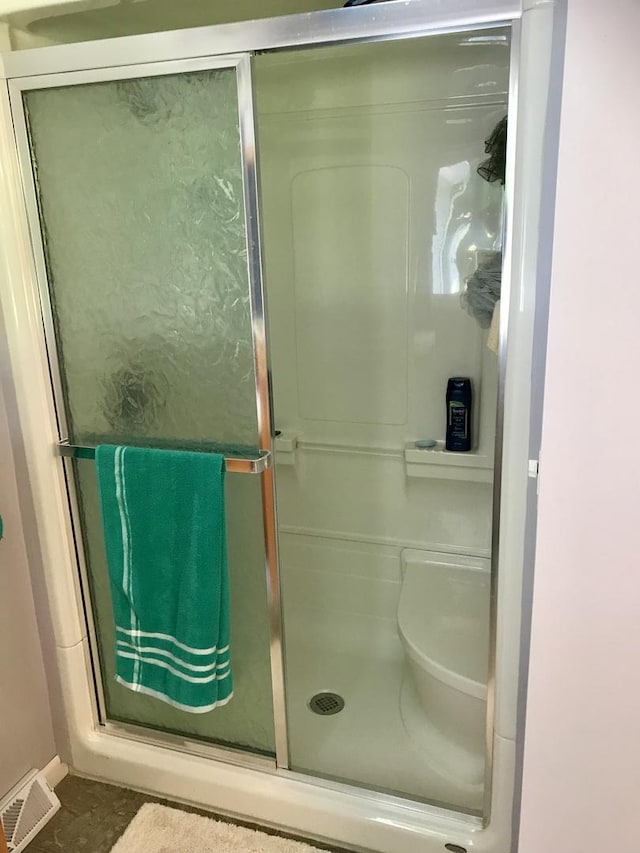 116 N Beech St, Princeton, IL 61356 - bathroom featuring a shower stall