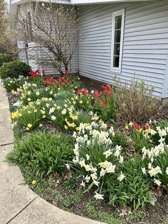 116 N Beech St, Princeton, IL 61356 - exterior view